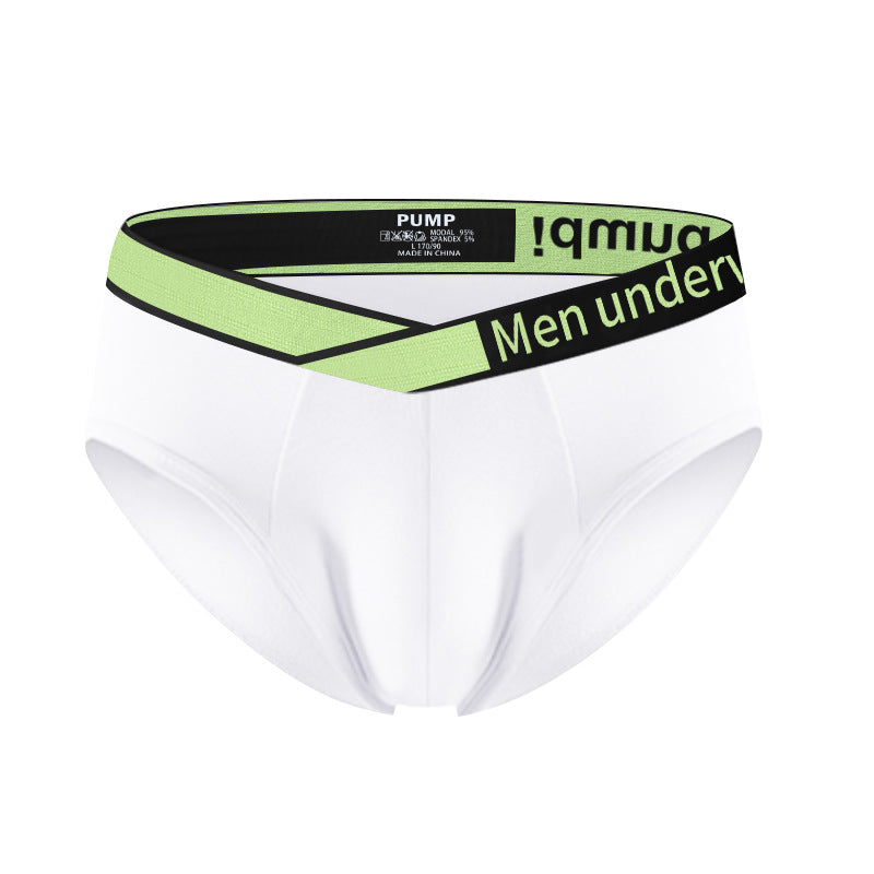 Flight brief
