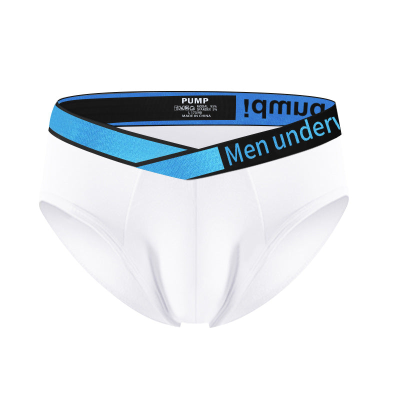 Dive brief
